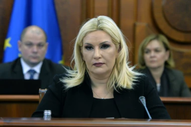 ZORANA MIHAJLOVIĆ: Imaju pravo da ponovo ispitaju slučaj "Vulin"