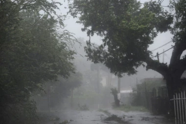 (VIDEO) Zvuk zemljotresa u Meksiku ledi kosti!