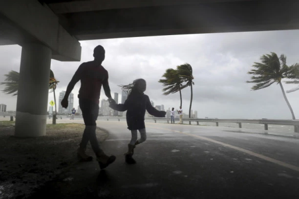 (ŠOK VIDEO) Kao u horor filmu: Od hladnoće na Floridi mrtve životinje padaju sa drveća