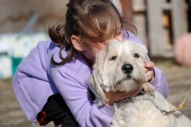 PSI NE VOLE GRLJENJE: Naše navike koje kučićima idu na živce