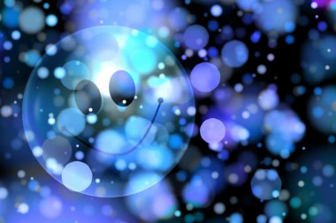 Izaberite najbolji vic u 2019. godini!