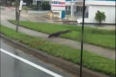(VIDEO) POSLE IRME JOŠ VEĆI PAKAO: Ulicama gamiže samo ZLO!
