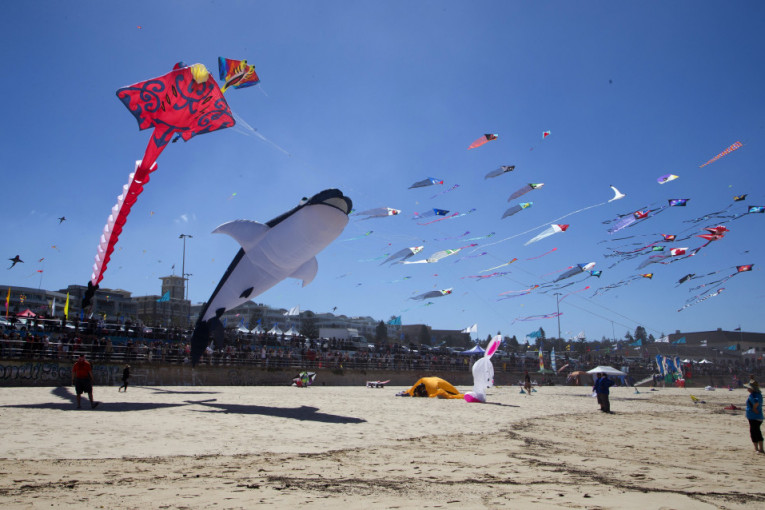 Ovo je jedan od najvećih festivala te vrste u svetu.