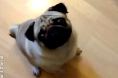 (VIDEO) Objavio šaljivi snimak sa psom i sada zbog toga IDE NA SUD!