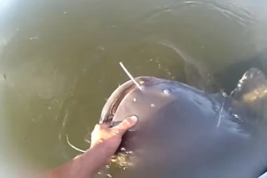 (VIDEO) TO MOGU SAMO RUSI: Upecali džina