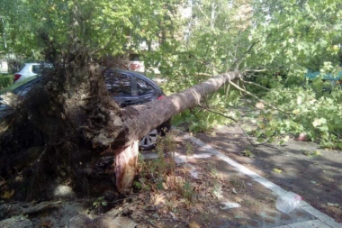 Detalji tragedije kod Prijepolja: Sekao bukvu pored puta, pa ubio vozača u "golfu"