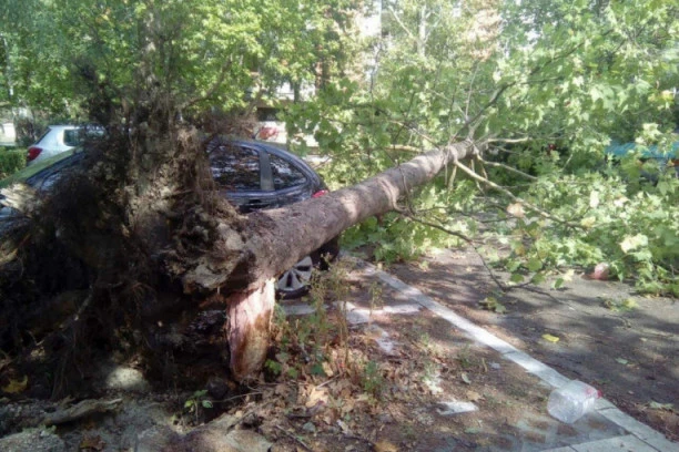 Detalji tragedije kod Prijepolja: Sekao bukvu pored puta, pa ubio vozača u "golfu"