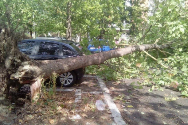 ARMAGEDON U SRBIJI: Vetar čupao drveće, rušio fasade! U ovim gradovima bilo je najkritičnije!