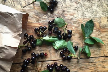 (RECEPT) OČELIČITE IMUNITET: Džem od aronije pomaže u detoksikaciji, pročišćava krv i štiti od virusa!