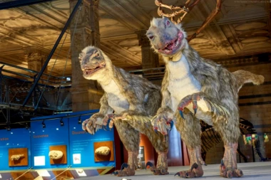 URNEBESNO: Ovako izgleda kada se posvađaju dva najveća muzeja!