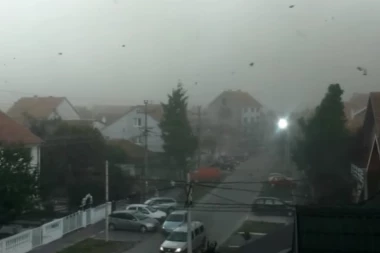 OLUJA U BORČI: Dečaku pala grana na glavu, lekari se bore za njegov život!