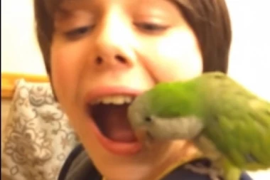 (VIDEO) ZVEZDA PREKO NOĆI: Ovom dečku je zubar njegov papagaj!