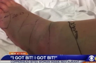 (VIDEO) OTROVNICA JU JE UJELA ZA STOPALO dok je večerala u otmenom restoranu