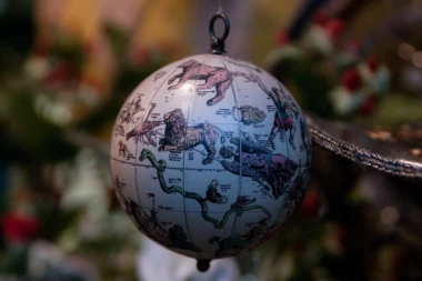 INDIJANSKI HOROSKOP: Saznajte koja ste životinja