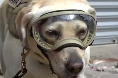 HEROJ MEKSIKA: Frida nanjušila 52 žrtve zemljotresa