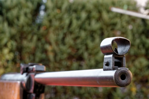 JEZIVO! Neko u Boru puca na kućne ljubimce iz vazdušne puške: Policija traži monstruma!