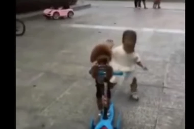 (VIDEO) ODUŠEVIĆE VAS OVAJ DVOJAC: Devojčica (2) uči psa da vozi skuter