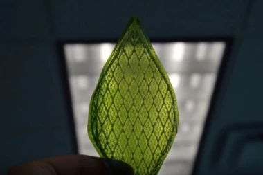 Luster koji prečišćava vazduh