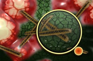 PAKAO STIŽE U SRBIJU: Mutirani virus će nas pokositi u ovom mesecu!