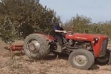 (VIDEO) Mrzi vas da radite? Kada vidite baku Pavliku BIĆE VAS SRAM!