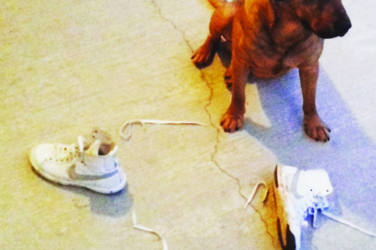 Nisam ti ja pokidao pertle - Bubi