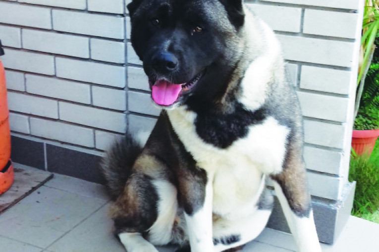 Una teško podnosi tople dane