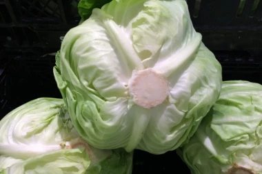 SUPERPOVRĆE: Nema zdravlja bez kupusa