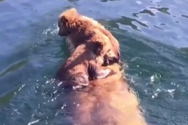 (VIDEO) OVU MAMU NIŠTA NE MOŽE DA ZAUSTAVI!