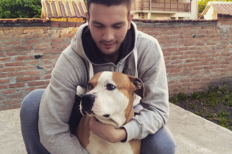 Aron, američki staford, star 3 godine. Obožava da se igra s ljudima i samo bi se mazio