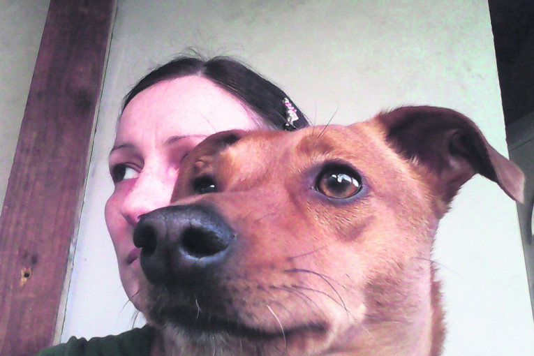 Marfi je pinč, star 2 godine i 4 meseca. Obožava da "priča", trči i skače, da stoji dugo na dve noge. Ludi za kolima i voli da sedi u krilu vozača i stavi šapice na volan.