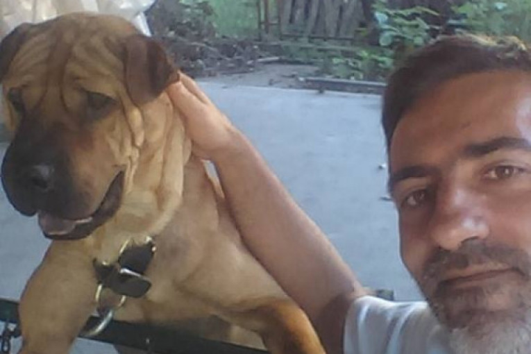 Kroki, šar-pej, star 3 godine, obožava prirodu i da se vozi u kolima