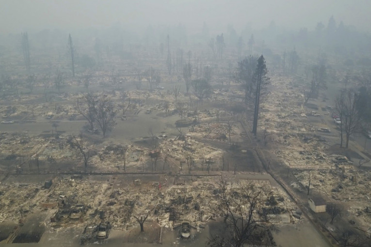 Pre požara obrano je 90 odsto ovogodišnjeg roda grožđa, pre svega vrste koja se koristi za pravljenje vina Kaberne Suvinjon.