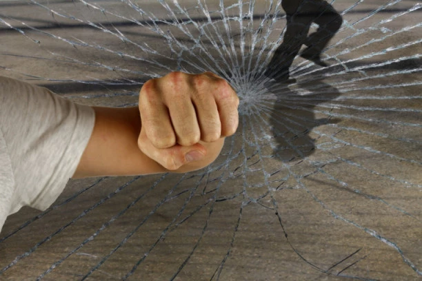 RUSVAJ U NOVOM SADU: Muškarac NAPAO INSPEKTORKU TOKOM DUŽNOSTI, oštetio službeni auto