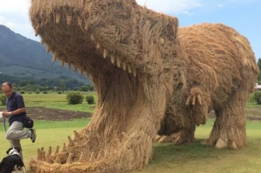 Slamene skulpture OČARAVAJU SVOJIM IZGLEDOM!