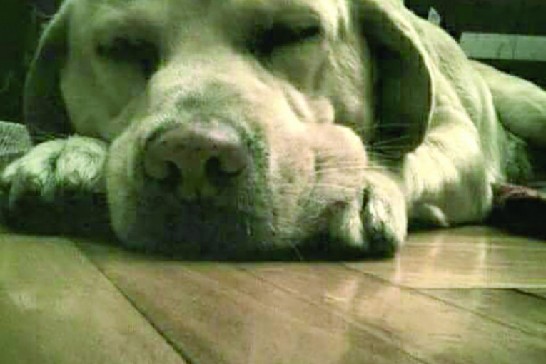 Zara i ispraća i dočekuje. I voli i brine. Najvoljenije biće.