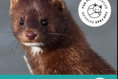 BRAVO: Ova zemlja zabranila ubijanje životinja zbog krzna!