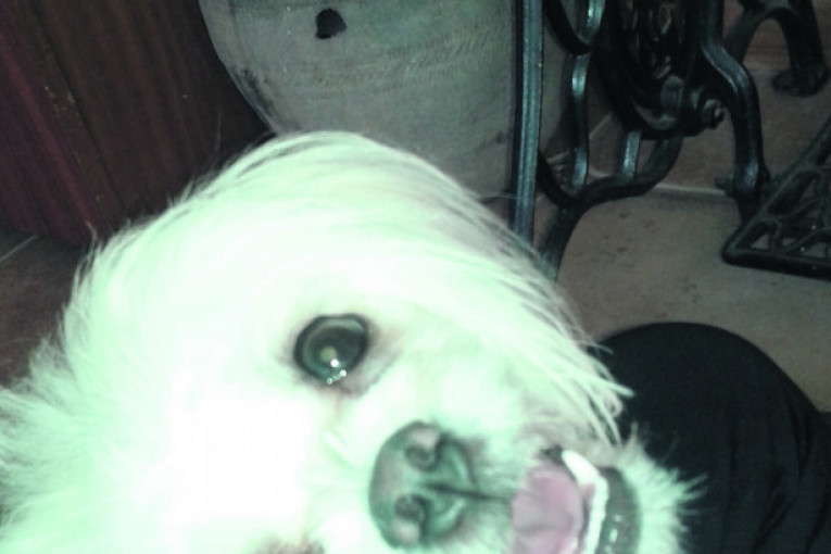 Zovem se Maza, stara sam tri godine.