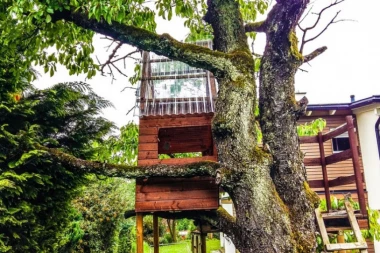 Radnici Majkrosofta žive SAN SVAKOG DETETA