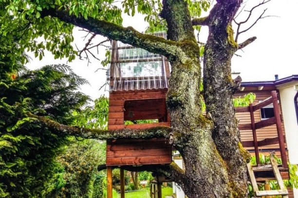 PRIJAVIO KOMŠIJU KOJI JE ZA VREME KOVIDA DECI IZGRADIO KUĆICU NA DRVETU: Dobio je brutalan odgovor zbog koga je postao predmet sprdnje