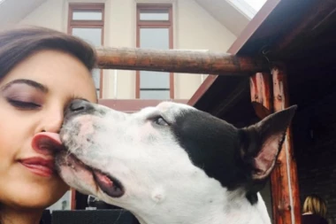 GAZDA ILI HRANA: Šta psi vole više?