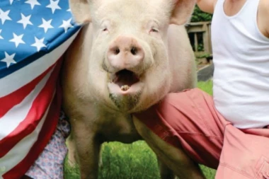 (FOTO) NAJPOZNATIJA SVINJA NA SVETU postala DRŽAVNO PITANJE u Kanadi