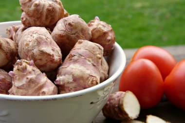 KORISNI RECEPTI: Čičoka smanjuje šećer u krvi, a leči i...