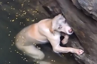 SATIMA SE SMRZAVALA, A ONDA SU JE SPASLI