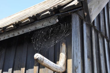 BESMISLENA IDEJA: Brenerom palio paukove pa ZAPALIO KUĆU