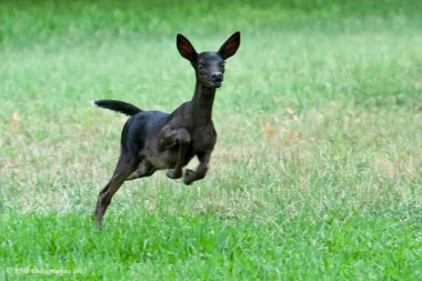 Ulepšaće vam dan: Ove bebe su nešto najslađe na svetu