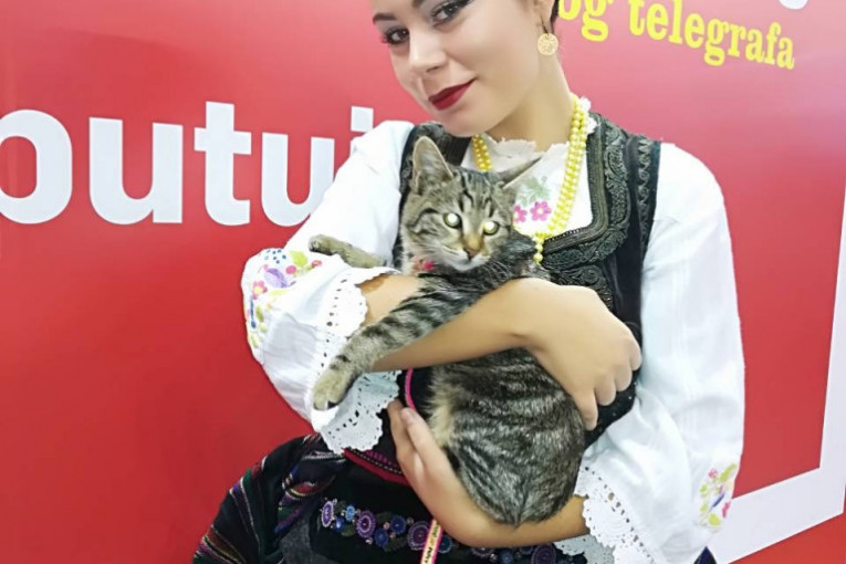 Na štandu portala Republika.rs jedna maca čeka na udomljavanje