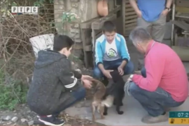 (VIDEO) KLINCI ZA PRIMER: Napravili azil za napuštene životinje