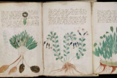 (FOTO) MISTERIJA OD KOJE ĆE VAS PROĆI JEZA: Ova knjiga je napisana na nepoznatom jeziku!