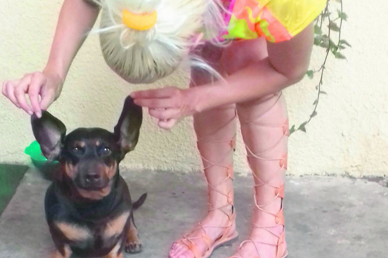 Jazavičar Bob uskoro puni osam godina, velika je maza i obožava da se slika