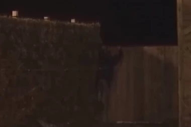 NIJE IZDRŽAO: Učesnik rijalitija pobegao iz "Zadruge"!